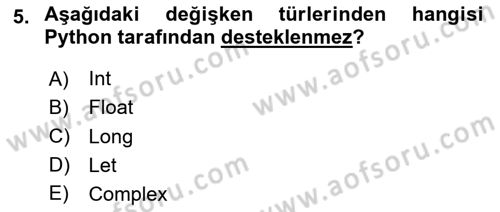 Programlama 2 Dersi 2024 - 2025 Yılı (Vize) Ara Sınav Soruları 5. Soru