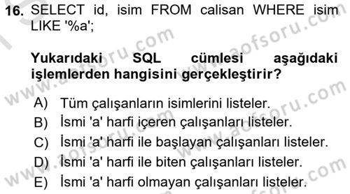 Programlama 2 Dersi 2024 - 2025 Yılı (Final) Dönem Sonu Sınav Soruları 16. Soru