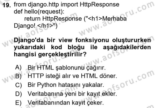 Programlama 2 Dersi 2024 - 2025 Yılı (Final) Dönem Sonu Sınav Soruları 19. Soru
