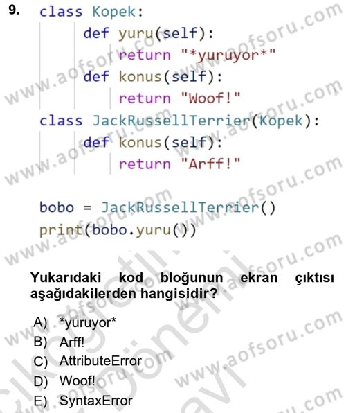 Programlama 2 Dersi 2024 - 2025 Yılı (Final) Dönem Sonu Sınav Soruları 9. Soru