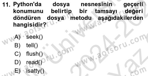 Programlama 2 Dersi 2024 - 2025 Yılı Yaz Okulu Sınav Soruları 11. Soru