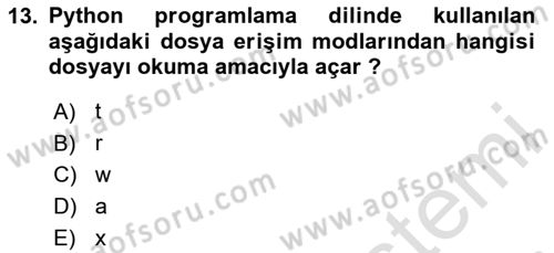 Programlama 2 Dersi 2024 - 2025 Yılı Yaz Okulu Sınav Soruları 13. Soru