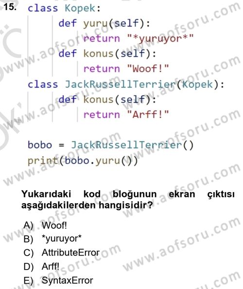 Programlama 2 Dersi 2024 - 2025 Yılı Yaz Okulu Sınav Soruları 15. Soru