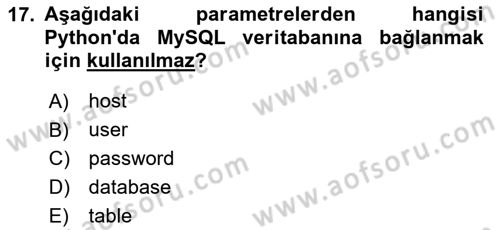 Programlama 2 Dersi 2024 - 2025 Yılı Yaz Okulu Sınav Soruları 17. Soru