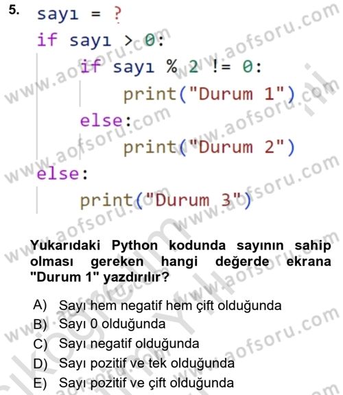 Programlama 2 Dersi 2024 - 2025 Yılı Yaz Okulu Sınav Soruları 5. Soru