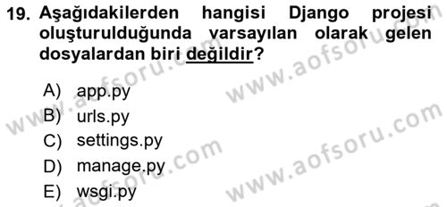 Programlama 2 Dersi 2025 - 2026 Yılı (Final) Dönem Sonu Sınav Soruları 19. Soru