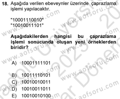 Algoritmalar Dersi 2023 - 2024 Yılı (Final) Dönem Sonu Sınavı 18. Soru