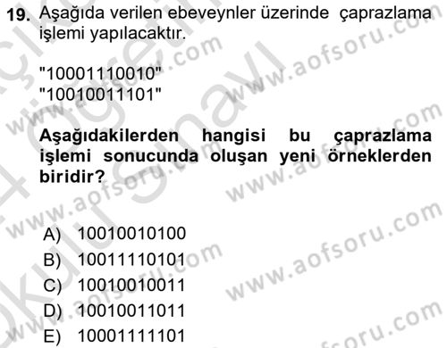 Algoritmalar Dersi 2023 - 2024 Yılı Yaz Okulu Sınavı 19. Soru