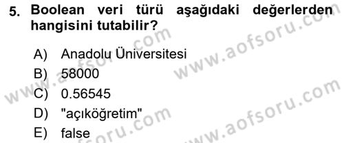 Algoritmalar Dersi 2023 - 2024 Yılı Yaz Okulu Sınav Soruları 5. Soru