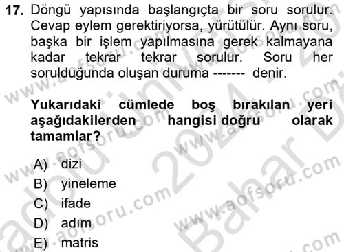 Algoritmalar Dersi 2024 - 2025 Yılı (Vize) Ara Sınav Soruları 17. Soru