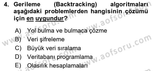 Algoritmalar Dersi 2024 - 2025 Yılı (Vize) Ara Sınav Soruları 4. Soru