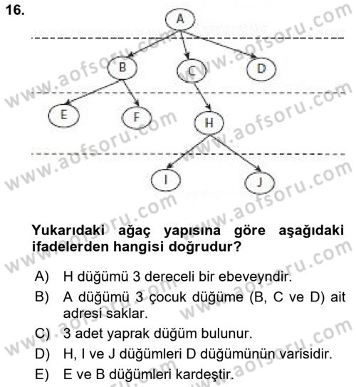 Algoritmalar Dersi 2024 - 2025 Yılı (Final) Dönem Sonu Sınav Soruları 16. Soru