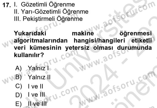 Algoritmalar Dersi 2024 - 2025 Yılı (Final) Dönem Sonu Sınav Soruları 17. Soru