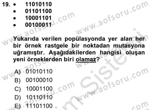Algoritmalar Dersi 2024 - 2025 Yılı (Final) Dönem Sonu Sınav Soruları 19. Soru