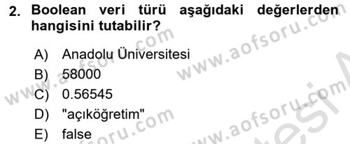 Algoritmalar Dersi 2024 - 2025 Yılı (Final) Dönem Sonu Sınav Soruları 2. Soru