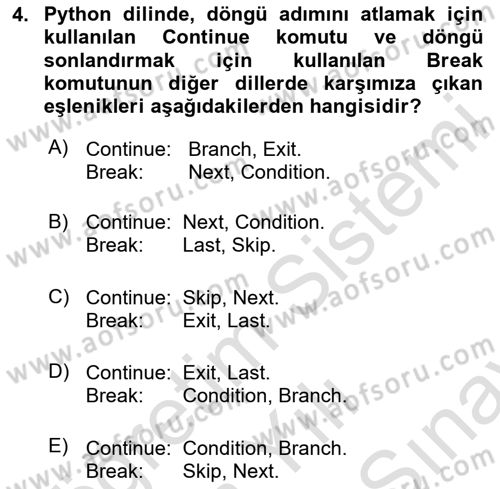 Algoritmalar Dersi 2024 - 2025 Yılı (Final) Dönem Sonu Sınav Soruları 4. Soru