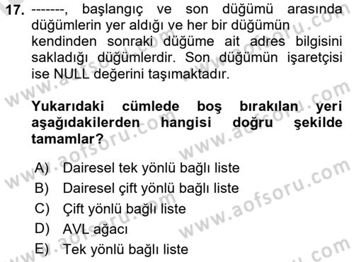 Algoritmalar Dersi 2024 - 2025 Yılı Yaz Okulu Sınav Soruları 17. Soru
