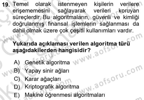 Algoritmalar Dersi 2024 - 2025 Yılı Yaz Okulu Sınav Soruları 19. Soru
