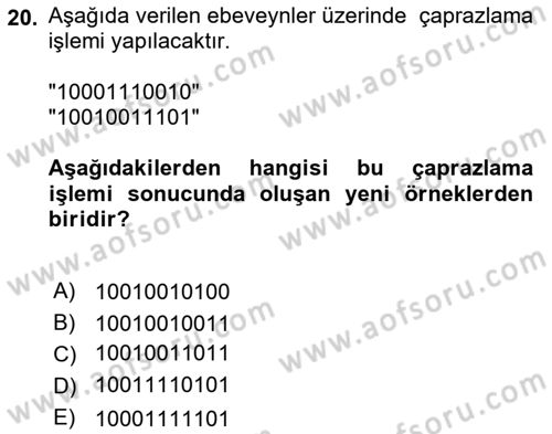 Algoritmalar Dersi 2024 - 2025 Yılı Yaz Okulu Sınav Soruları 20. Soru
