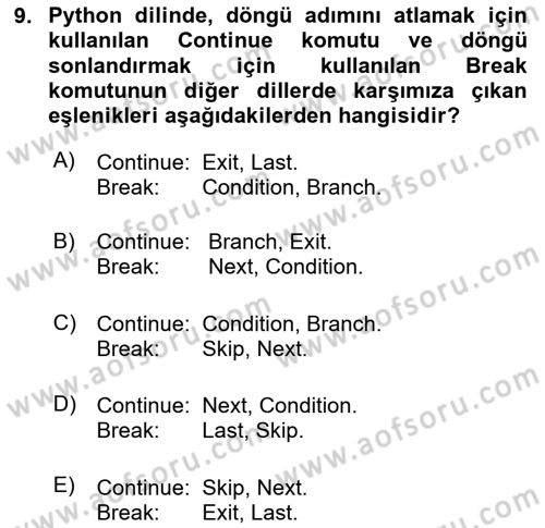 Algoritmalar Dersi 2024 - 2025 Yılı Yaz Okulu Sınav Soruları 9. Soru
