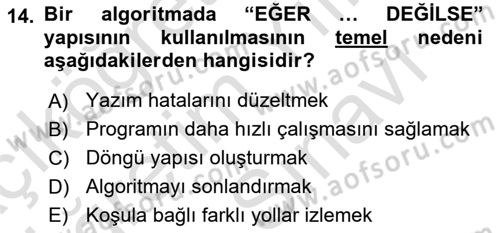 Algoritmalar Dersi 2025 - 2026 Yılı (Vize) Ara Sınav Soruları 14. Soru