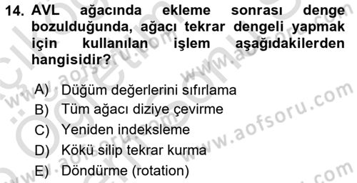 Algoritmalar Dersi 2025 - 2026 Yılı (Final) Dönem Sonu Sınav Soruları 14. Soru