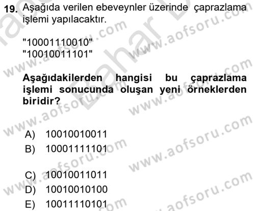 Algoritmalar Dersi 2025 - 2026 Yılı (Final) Dönem Sonu Sınav Soruları 19. Soru