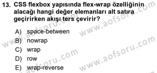 Web Arayüz Programlama Dersi 2022 - 2023 Yılı (Vize) Ara Sınav Soruları 13. Soru