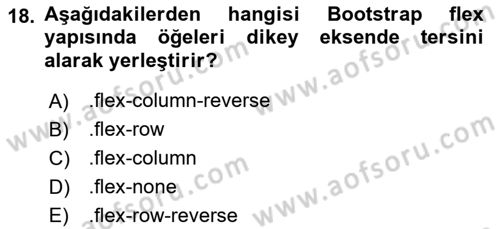 Web Arayüz Programlama Dersi 2022 - 2023 Yılı (Vize) Ara Sınav Soruları 18. Soru