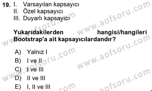 Web Arayüz Programlama Dersi 2022 - 2023 Yılı (Vize) Ara Sınav Soruları 19. Soru