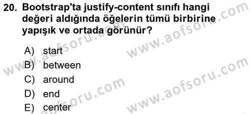 Web Arayüz Programlama Dersi 2022 - 2023 Yılı (Vize) Ara Sınav Soruları 20. Soru