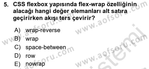 Web Arayüz Programlama Dersi 2022 - 2023 Yılı Yaz Okulu Sınav Soruları 5. Soru