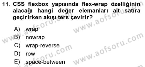Web Arayüz Programlama Dersi 2023 - 2024 Yılı (Vize) Ara Sınav Soruları 11. Soru