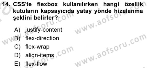 Web Arayüz Programlama Dersi 2023 - 2024 Yılı (Vize) Ara Sınav Soruları 14. Soru
