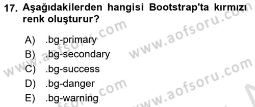 Web Arayüz Programlama Dersi 2023 - 2024 Yılı (Vize) Ara Sınav Soruları 17. Soru