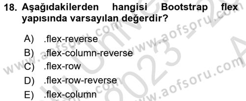 Web Arayüz Programlama Dersi 2023 - 2024 Yılı (Vize) Ara Sınav Soruları 18. Soru