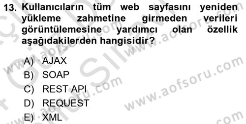 Web Arayüz Programlama Dersi 2023 - 2024 Yılı (Final) Dönem Sonu Sınavı 13. Soru