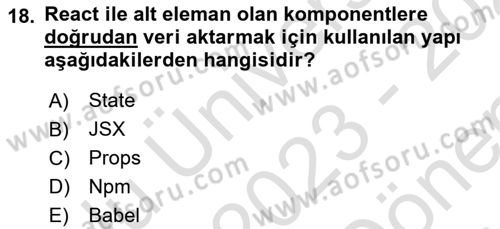 Web Arayüz Programlama Dersi 2023 - 2024 Yılı (Final) Dönem Sonu Sınavı 18. Soru