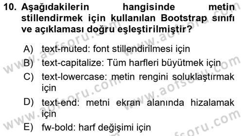 Web Arayüz Programlama Dersi 2023 - 2024 Yılı Yaz Okulu Sınav Soruları 10. Soru