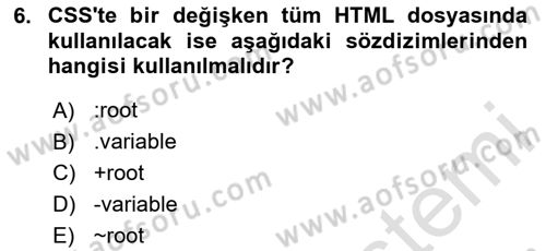 Web Arayüz Programlama Dersi 2023 - 2024 Yılı Yaz Okulu Sınav Soruları 6. Soru