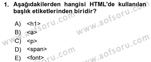 Web Arayüz Programlama Dersi 2024 - 2025 Yılı (Vize) Ara Sınav Soruları 1. Soru