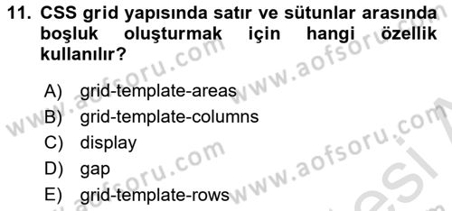 Web Arayüz Programlama Dersi 2024 - 2025 Yılı (Vize) Ara Sınav Soruları 11. Soru