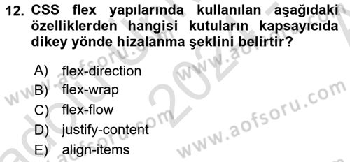 Web Arayüz Programlama Dersi 2024 - 2025 Yılı (Vize) Ara Sınav Soruları 12. Soru