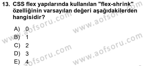Web Arayüz Programlama Dersi 2024 - 2025 Yılı (Vize) Ara Sınav Soruları 13. Soru