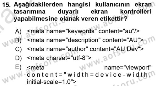 Web Arayüz Programlama Dersi 2024 - 2025 Yılı (Vize) Ara Sınav Soruları 15. Soru