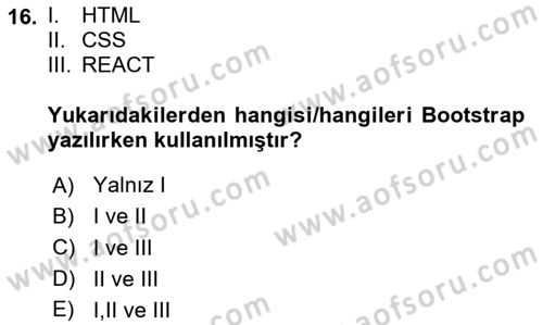 Web Arayüz Programlama Dersi 2024 - 2025 Yılı (Vize) Ara Sınav Soruları 16. Soru