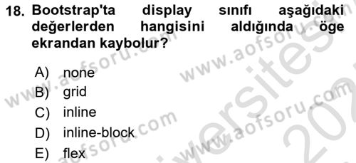 Web Arayüz Programlama Dersi 2024 - 2025 Yılı (Vize) Ara Sınav Soruları 18. Soru