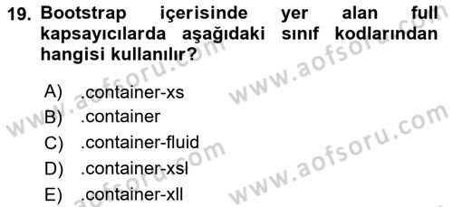 Web Arayüz Programlama Dersi 2024 - 2025 Yılı (Vize) Ara Sınav Soruları 19. Soru