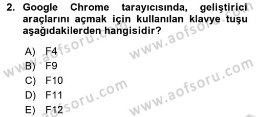 Web Arayüz Programlama Dersi 2024 - 2025 Yılı (Vize) Ara Sınav Soruları 2. Soru