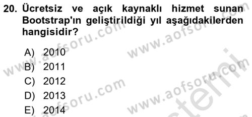 Web Arayüz Programlama Dersi 2024 - 2025 Yılı (Vize) Ara Sınav Soruları 20. Soru